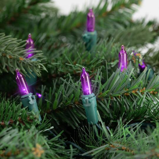 50ct. LED Mini Christmas String Lights with Green Wire